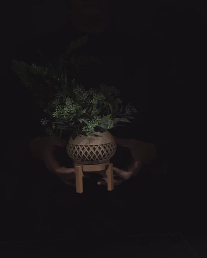 Vaso - ObliqueView